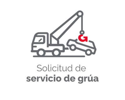 Solicita aquí asistencia de grúa (11)
