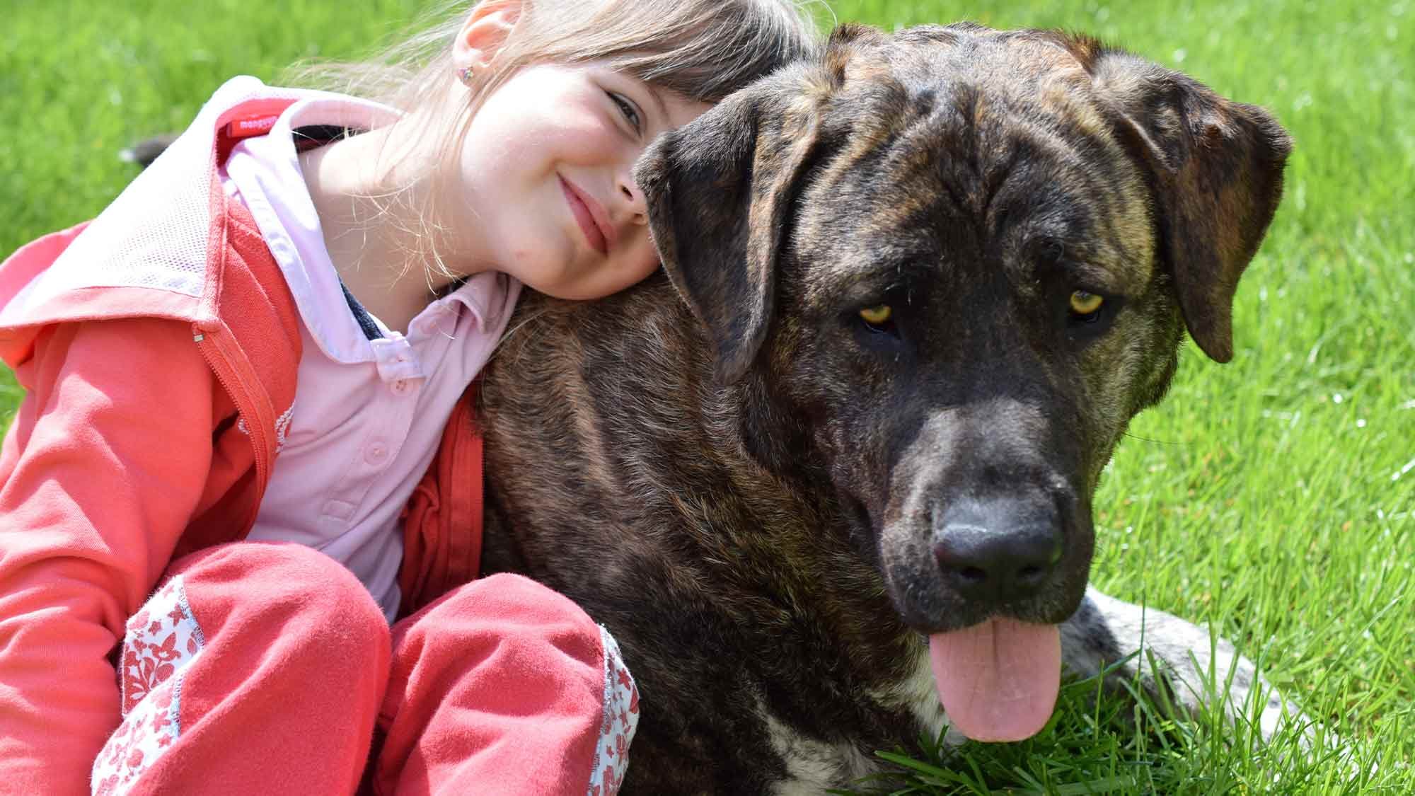 cabecera-pack-mascotas