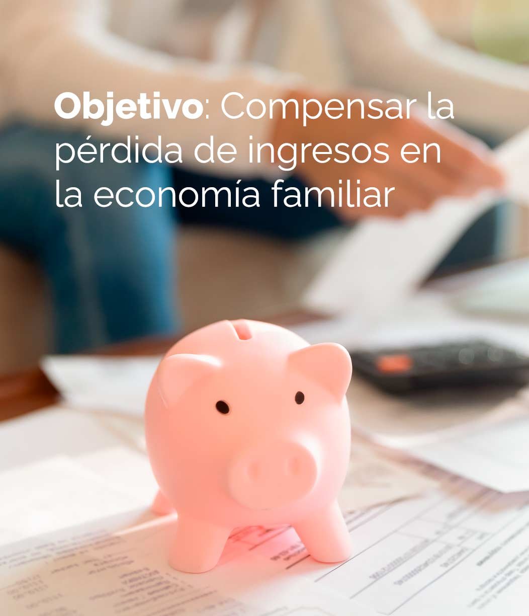 objetivo-economia