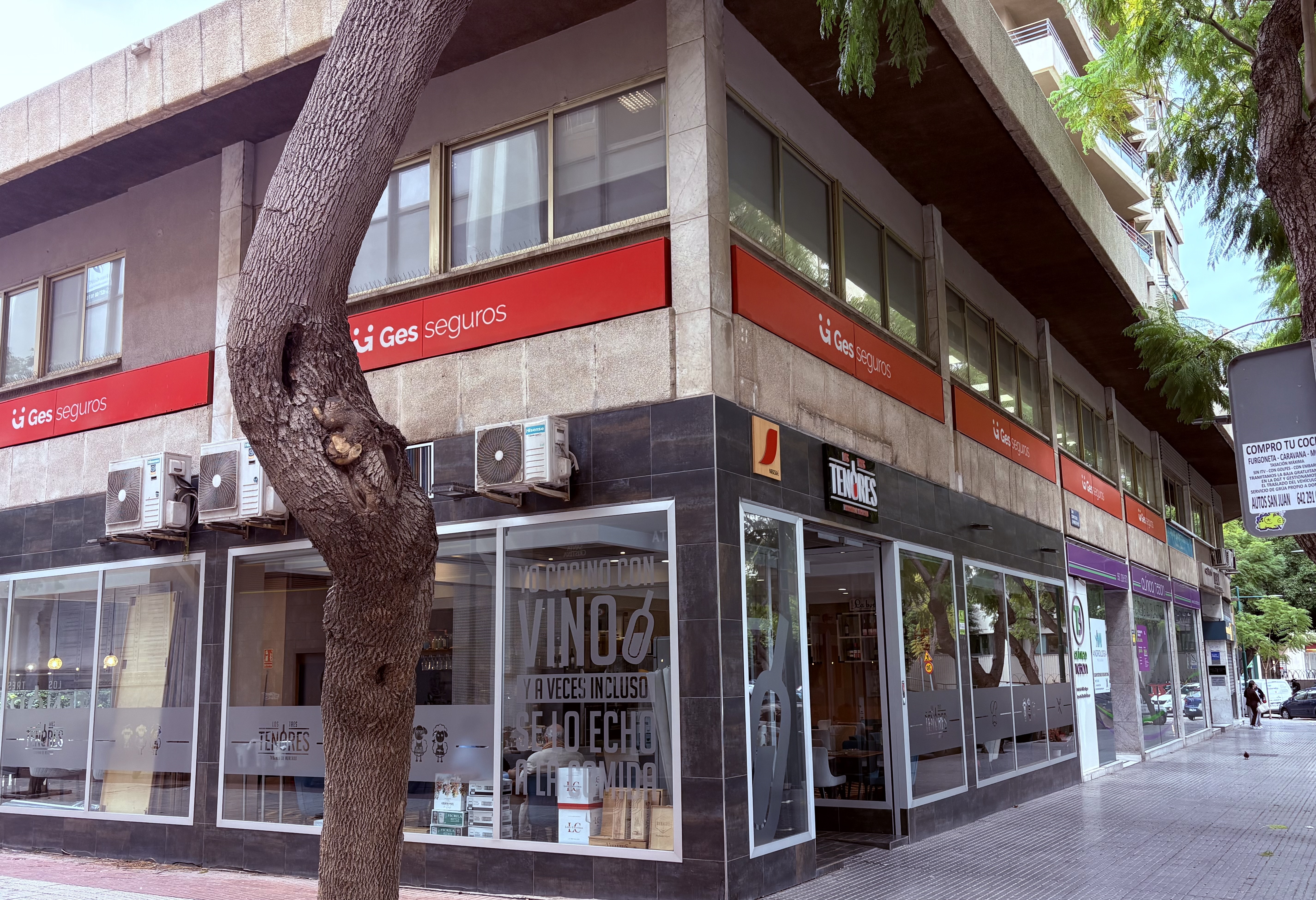 Carmen Roman Buendia-banner