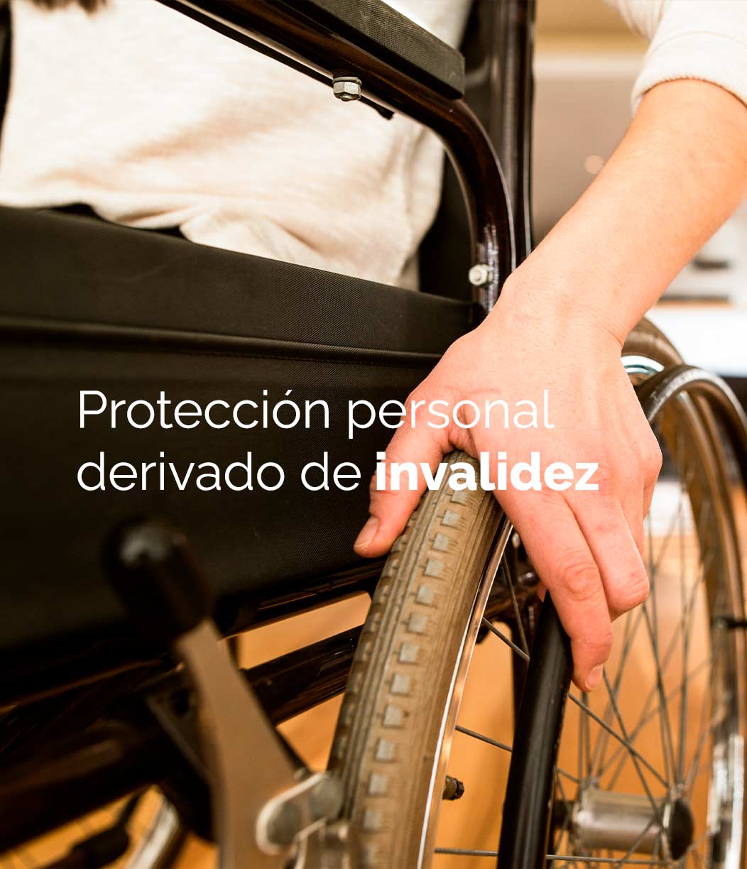 proteccion-invalidez3